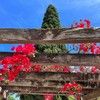 mintfinds28